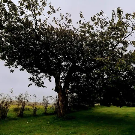 בית נופש Luxury Retreat In Vejers *